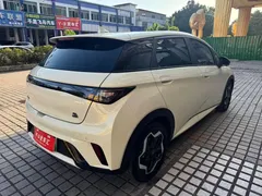 2021 BYD Dolphin 405km Fashion — фото 6