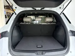 2023 BYD Song Pro DM-i PHEV 110KM Champion, белый — фото 16