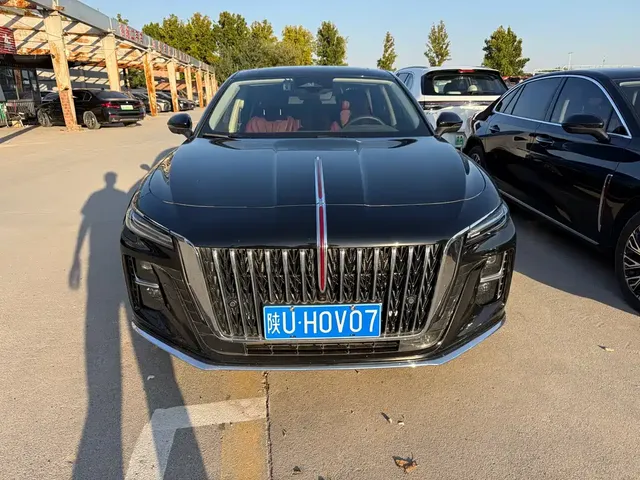 2025 Hongqi H5 2.0T AT Qichang