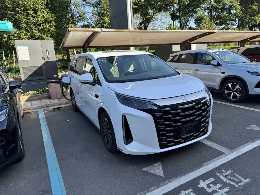 2025 BYD Xia PHEV DM-i 1.5T 100km Exceed