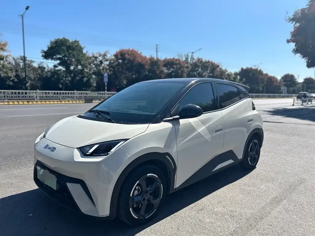 2024 BYD Seagull EV 305km Honor Freedom