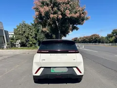 2024 BYD Seagull EV 305km Honor Freedom, белый — фото 4
