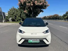 2024 BYD Seagull EV 305km Honor Freedom, белый — фото 8