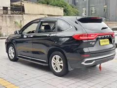 2021 Haval M6 Plus 1.5T DCT Elite, чёрный — фото 15