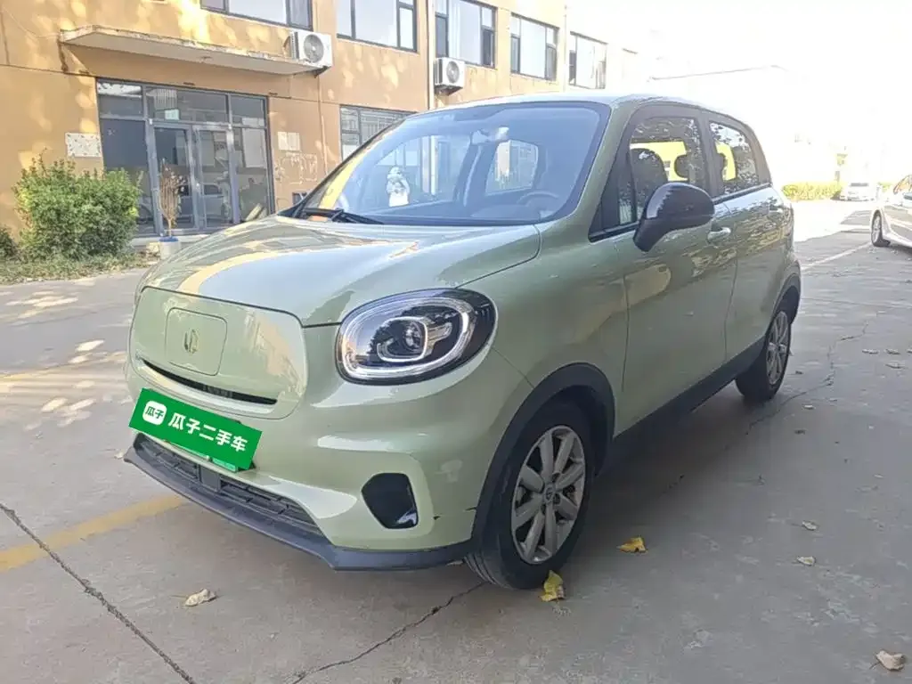 2022 Leapmotor T03 Haoyu