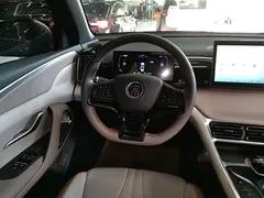 2024 BYD Song Pro Honor DM-i PHEV 71km Navigator — фото 11