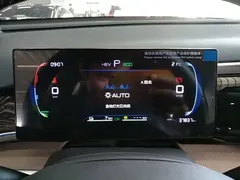 2024 BYD Song Pro Honor DM-i PHEV 71km Navigator — фото 12