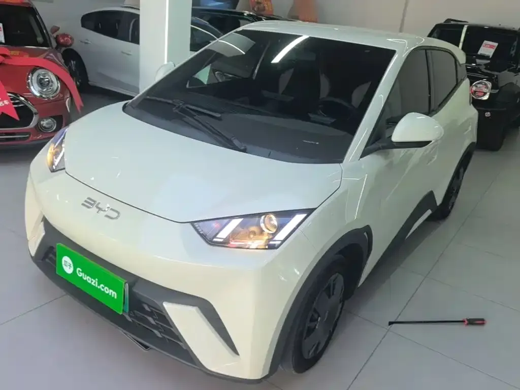 2024 BYD Seagull Honor 305km Vitality
