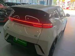 2024 BYD Seagull Honor 305km Vitality, белый — фото 7