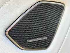 2021 Volkswagen Talagon 530TSI 4WD Flagship Pro — фото 21