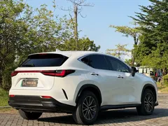 2022 Lexus NX 400h+ PHEV, белый — фото 6