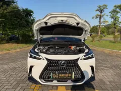 2022 Lexus NX 400h+ PHEV, белый — фото 19