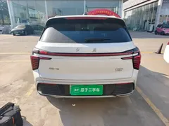 2025 Hongqi HS3 PHEV 117km, белый — фото 6