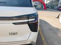 2025 Hongqi HS3 PHEV 117km, белый — фото 8