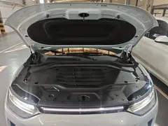 2023 Leapmotor C11 EV 500 — фото 20