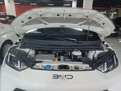 2024 BYD Seagull Honor 305km Vitality, белый — фото 20