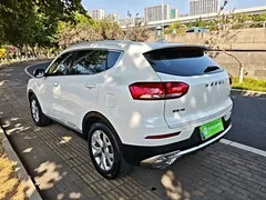 2021 Haval H6 1.5T AT Urban, белый — фото 5