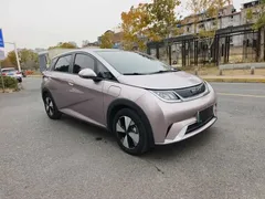 2023 BYD Dolphin 420km Fashion — фото 3