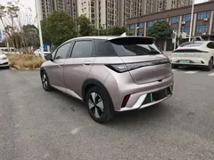 2023 BYD Dolphin 420km Fashion — фото 9