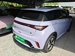 2023 BYD Dolphin 420km Fashion — фото 7