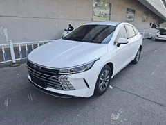 2023 BYD Destroyer 05 Champion DM-i PHEV 55km Luxury, белый — фото 1