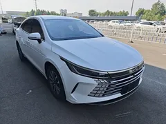 2023 BYD Destroyer 05 Champion DM-i PHEV 55km Luxury, белый — фото 4