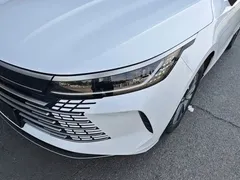 2023 BYD Destroyer 05 Champion DM-i PHEV 55km Luxury, белый — фото 24