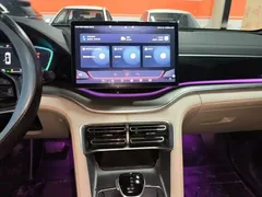 2021 BYD Song PLUS DM-i PHEV 110KM Flagship Plus — фото 13