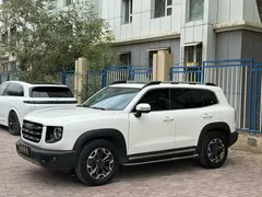 2022 Haval Dargo 2.0T DCT 4WD, белый — фото 1