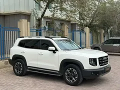 2022 Haval Dargo 2.0T DCT 4WD, белый — фото 3
