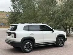 2022 Haval Dargo 2.0T DCT 4WD, белый — фото 7