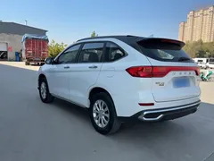 2021 Haval M6 Plus 1.5T DCT Elite, белый — фото 12