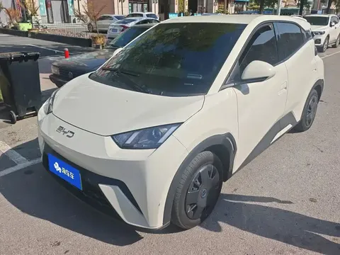 2024 BYD Seagull Honor 305km Vitality