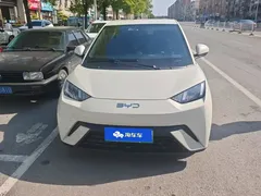 2024 BYD Seagull Honor 305km Vitality, белый — фото 2