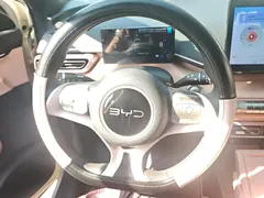 2024 BYD Seagull Honor 305km Vitality, белый — фото 15