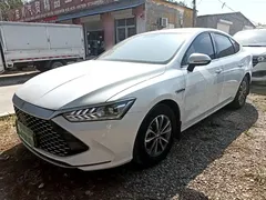 2023 BYD Qin PLUS Champion DM-i PHEV 55KM Leading, белый — фото 2