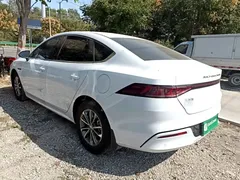 2023 BYD Qin PLUS Champion DM-i PHEV 55KM Leading, белый — фото 5
