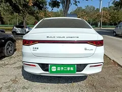 2023 BYD Qin PLUS Champion DM-i PHEV 55KM Leading, белый — фото 6