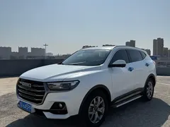 2021 Haval H6 1.5GDIT AT Guochao Champion, белый — фото 1