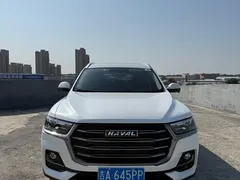 2021 Haval H6 1.5GDIT AT Guochao Champion, белый — фото 2