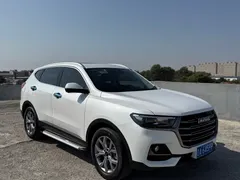 2021 Haval H6 1.5GDIT AT Guochao Champion, белый — фото 3