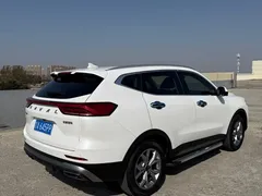 2021 Haval H6 1.5GDIT AT Guochao Champion, белый — фото 15