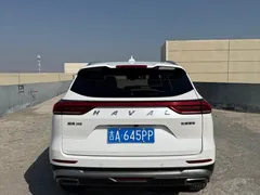 2021 Haval H6 1.5GDIT AT Guochao Champion, белый — фото 16