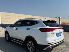 2021 Haval H6 1.5GDIT AT Guochao Champion, белый — фото 17