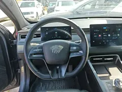 2025 BYD Qin PLUS DM-i PHEV Smart Driving 55km Leading — фото 11