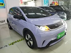2023 BYD Dolphin 420km Fashion — фото 4