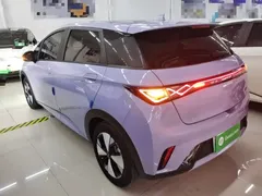 2023 BYD Dolphin 420km Fashion — фото 5