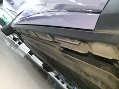 2023 BYD Dolphin 420km Fashion — фото 22