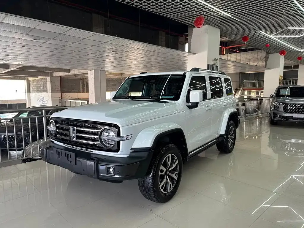 2021 Tank 300 City 2.0T