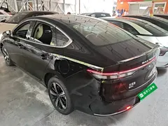 2024 BYD Destroyer 05 DM-i PHEV 120KM Luxury, чёрный — фото 5